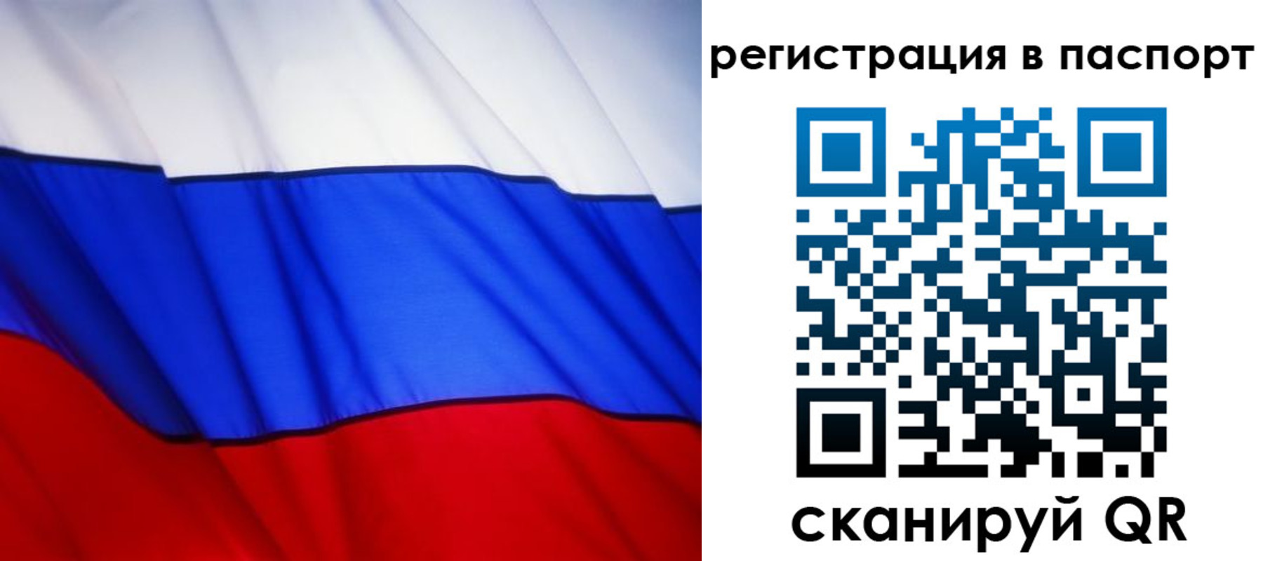 прописка 2025 в Порхове